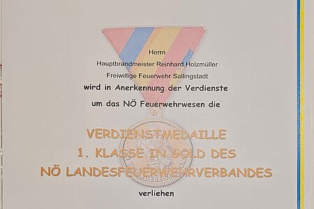 Verdienstmedaille 1. Klasse in Gold des Niederösterreichischen Landesfeuerwehrverbandes