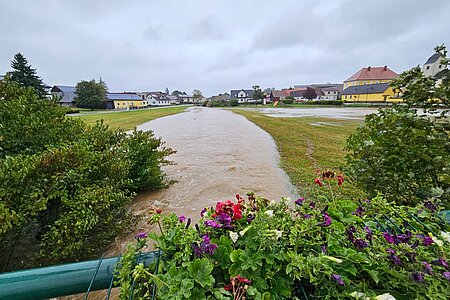 Thaya auch in Sallingstadt über die Ufer getreten